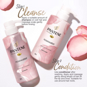 Pantene Pro-V Blends Rosewater Moisture Restoring Conditioner 530mL