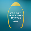 OGX Extra Strength Hydrate & Repair + Argan Oil of Morocco Shampoo 385mL